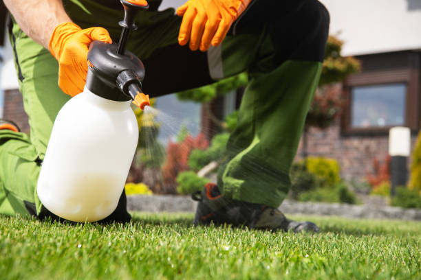 Best Best Pest Control Companies  in Durand, IL