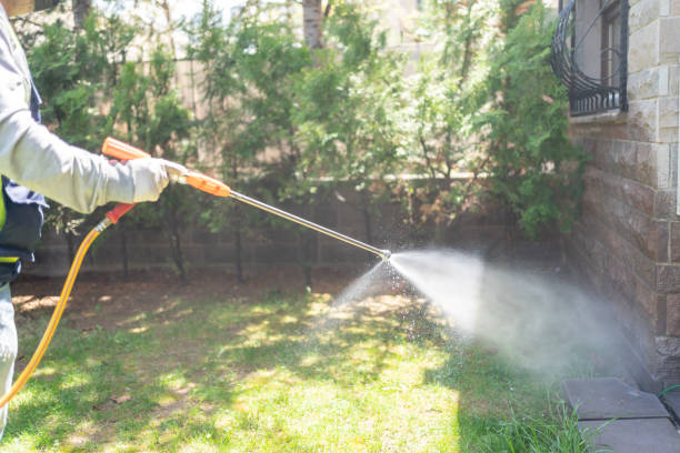 Best Pest Prevention Services  in Durand, IL